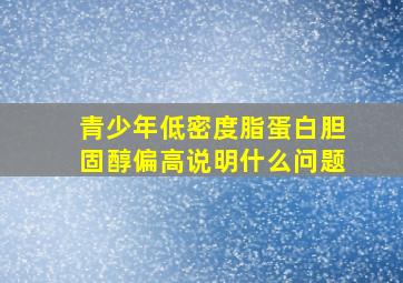 青少年低密度脂蛋白胆固醇偏高说明什么问题