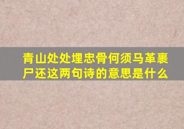 青山处处埋忠骨何须马革裹尸还这两句诗的意思是什么