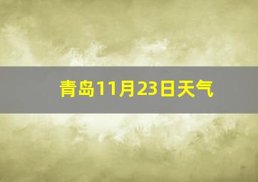 青岛11月23日天气