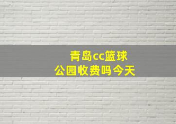 青岛cc篮球公园收费吗今天