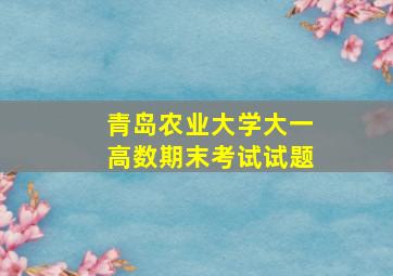 青岛农业大学大一高数期末考试试题