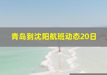 青岛到沈阳航班动态20日