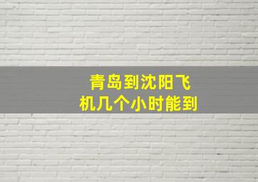 青岛到沈阳飞机几个小时能到