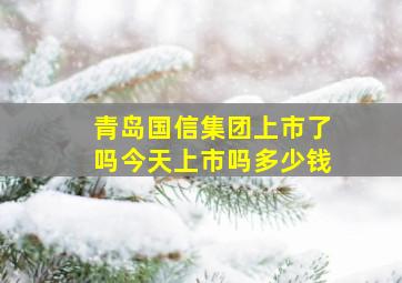 青岛国信集团上市了吗今天上市吗多少钱