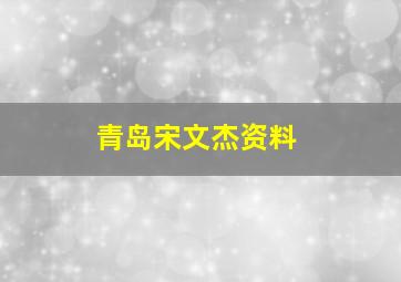 青岛宋文杰资料