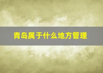 青岛属于什么地方管理