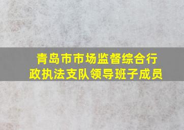 青岛市市场监督综合行政执法支队领导班子成员