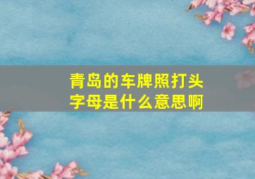 青岛的车牌照打头字母是什么意思啊