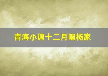 青海小调十二月唱杨家