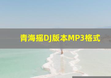 青海摇DJ版本MP3格式