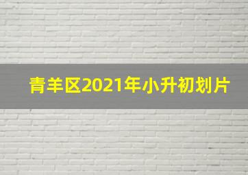 青羊区2021年小升初划片