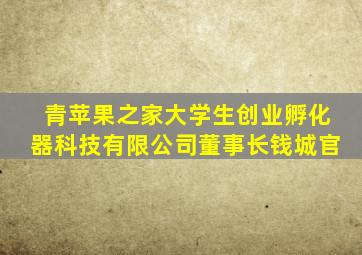 青苹果之家大学生创业孵化器科技有限公司董事长钱城官