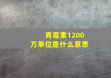 青霉素1200万单位是什么意思