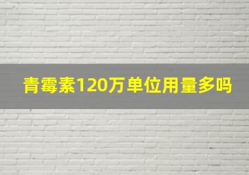 青霉素120万单位用量多吗