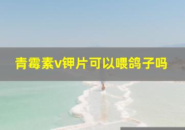 青霉素v钾片可以喂鸽子吗