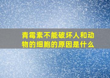 青霉素不能破坏人和动物的细胞的原因是什么