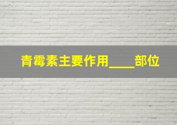 青霉素主要作用____部位