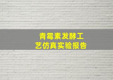 青霉素发酵工艺仿真实验报告