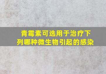 青霉素可选用于治疗下列哪种微生物引起的感染