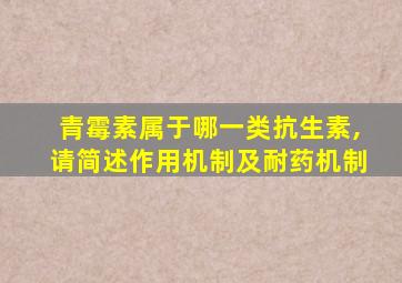 青霉素属于哪一类抗生素,请简述作用机制及耐药机制