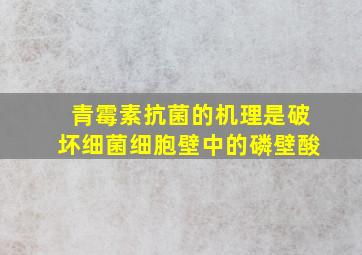 青霉素抗菌的机理是破坏细菌细胞壁中的磷壁酸