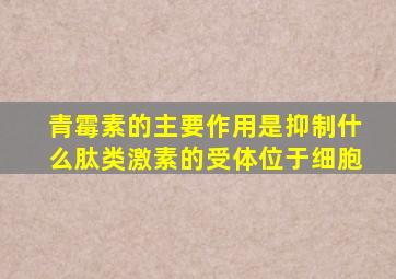 青霉素的主要作用是抑制什么肽类激素的受体位于细胞