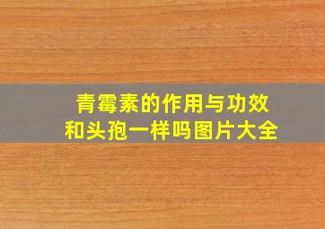 青霉素的作用与功效和头孢一样吗图片大全