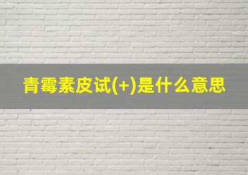 青霉素皮试(+)是什么意思