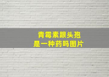 青霉素跟头孢是一种药吗图片