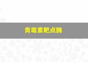 青霉素靶点酶