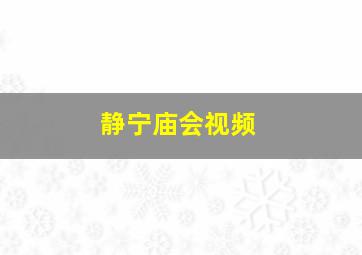 静宁庙会视频