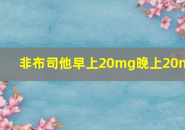 非布司他早上20mg晚上20mg