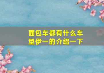 面包车都有什么车型伊一的介绍一下