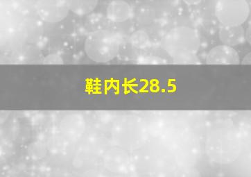 鞋内长28.5