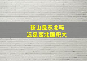 鞍山是东北吗还是西北面积大