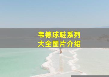 韦德球鞋系列大全图片介绍