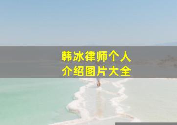 韩冰律师个人介绍图片大全