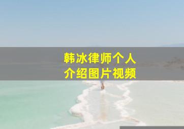 韩冰律师个人介绍图片视频