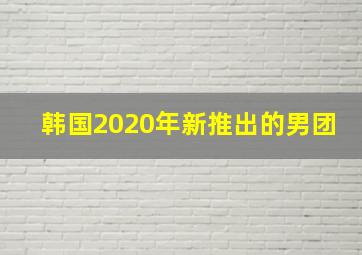 韩国2020年新推出的男团