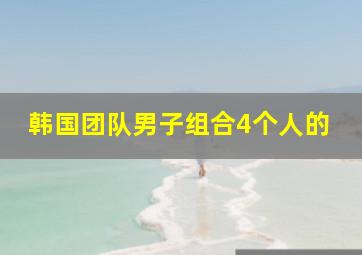 韩国团队男子组合4个人的