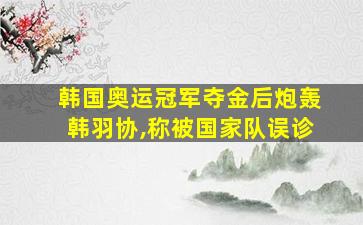 韩国奥运冠军夺金后炮轰韩羽协,称被国家队误诊