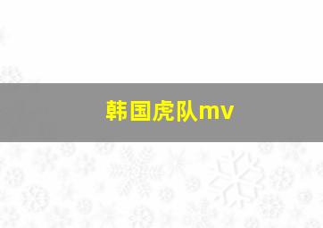 韩国虎队mv