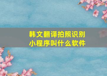 韩文翻译拍照识别小程序叫什么软件