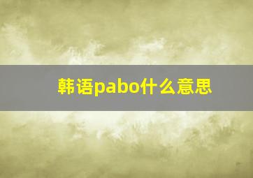 韩语pabo什么意思