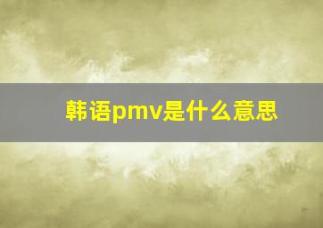 韩语pmv是什么意思