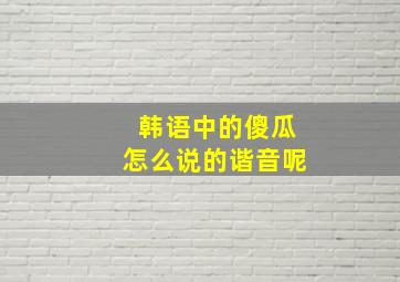 韩语中的傻瓜怎么说的谐音呢