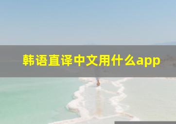 韩语直译中文用什么app