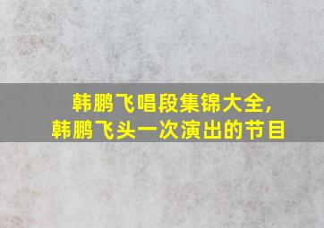 韩鹏飞唱段集锦大全,韩鹏飞头一次演出的节目