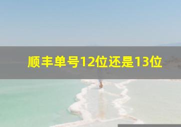 顺丰单号12位还是13位