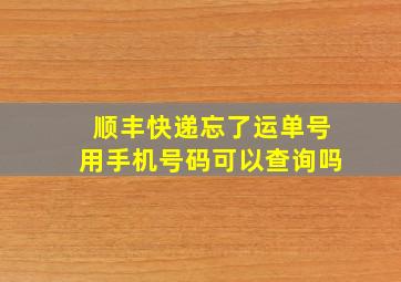 顺丰快递忘了运单号用手机号码可以查询吗